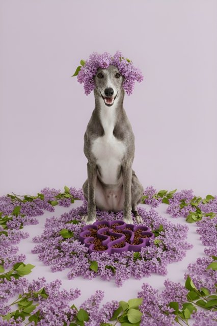 WHISPET Grape Silicone Slow Feeder Bowl