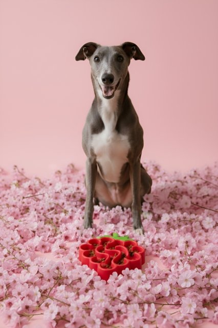 WHISPET Strawberry Silicone Slow Feeder Bowl