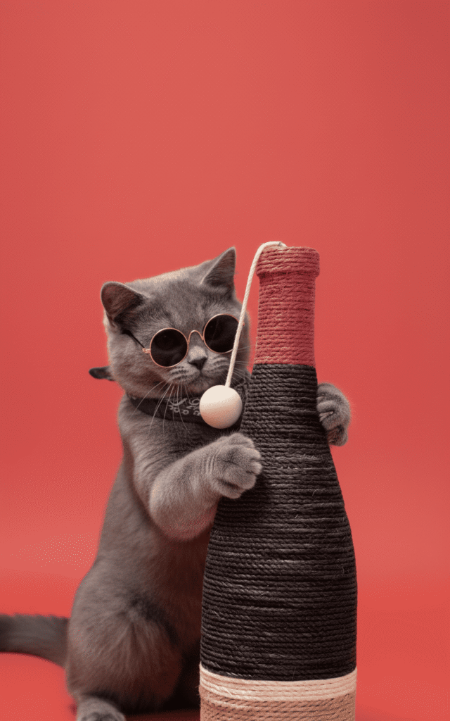 WHISPET Wine Bottle Cat Scratcher