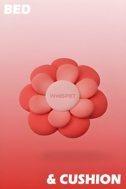 Bed & Cushion